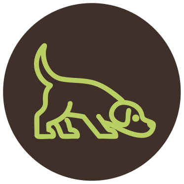 tropienie