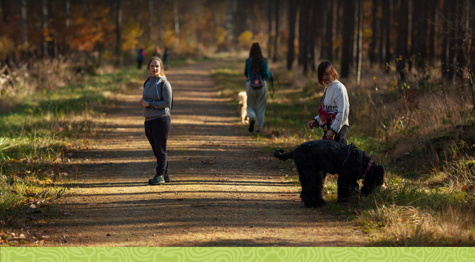 psiakowidzenie